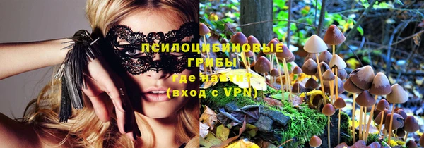 PSILOCYBIN Белоозёрский