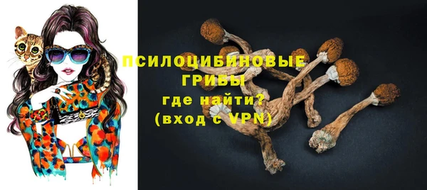 прущий лед Белокуриха