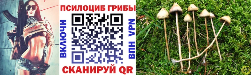 ссылка на мегу зеркало  Воскресенск  Галлюциногенные грибы Magic Shrooms 