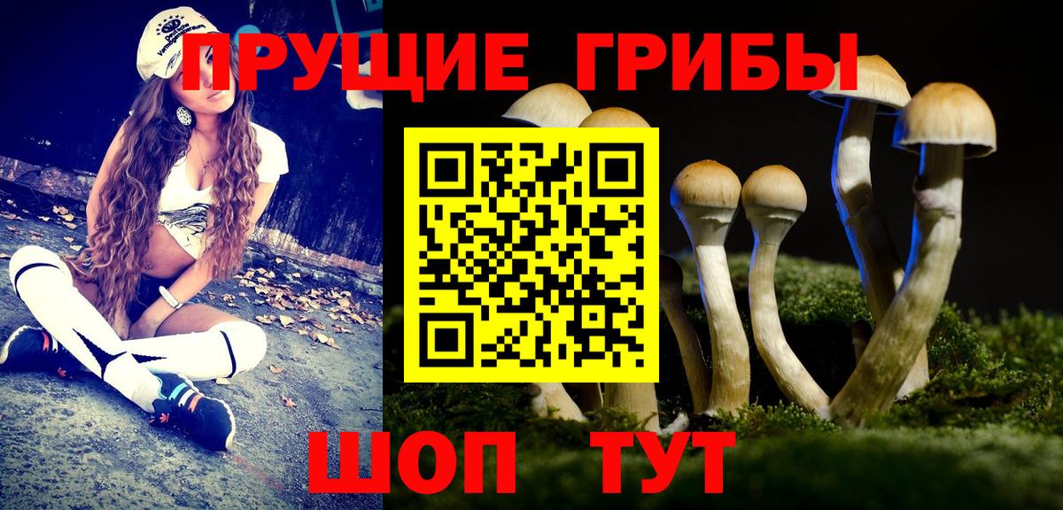 Псилоцибиновые грибы Psilocybe  Галлюциногенные грибы ЛСД  Воскресенск  Вход с VPN 
