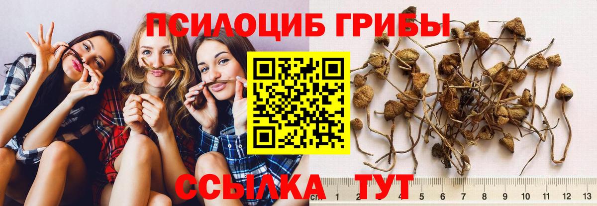 Галлюциногенные грибы мицелий Воскресенск