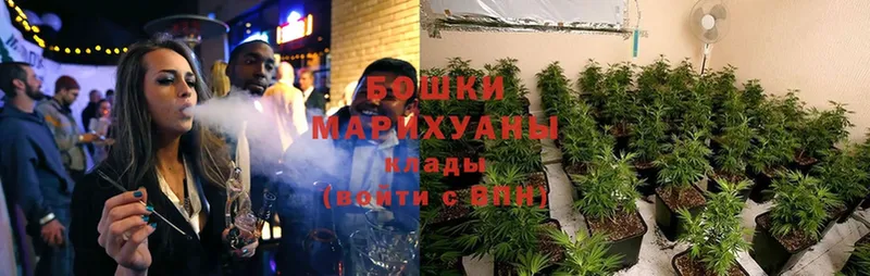 Бошки марихуана план  Воскресенск 