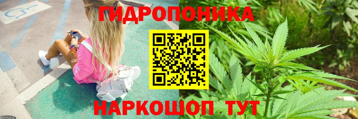 Бошки марихуана семена  Конопля гибрид  Воскресенск  Канабис THC 21% 